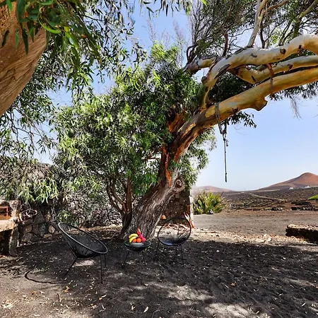 度假居 Petit La Geria Lanzarote